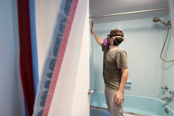 Reliable East Bernard, TX Mold Removal Solutions