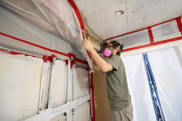 Best Post-Remediation Verification Testing  in East Bernard, TX